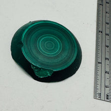 Load image into Gallery viewer, Malachite 351g Polished Round Stalactite Slice | 45x42x7mm | Green | 1 Specimen|
