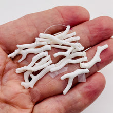 Load image into Gallery viewer, Coral Branch Beads | 31x3 to 27x2mm | White | 14 Beads |
