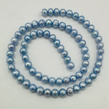 Load image into Gallery viewer, Baby Blue AAA Freshwater Pearl Half Strand | 6mm | 37 Pearls |
