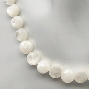Mississippi White Ebony Shell 7 Coin 8x4mm Beads