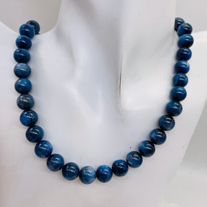 Kyanite AAA 16" Round Bead Strand | 10 to 11mm | Flashing Blue | 39 Beads |