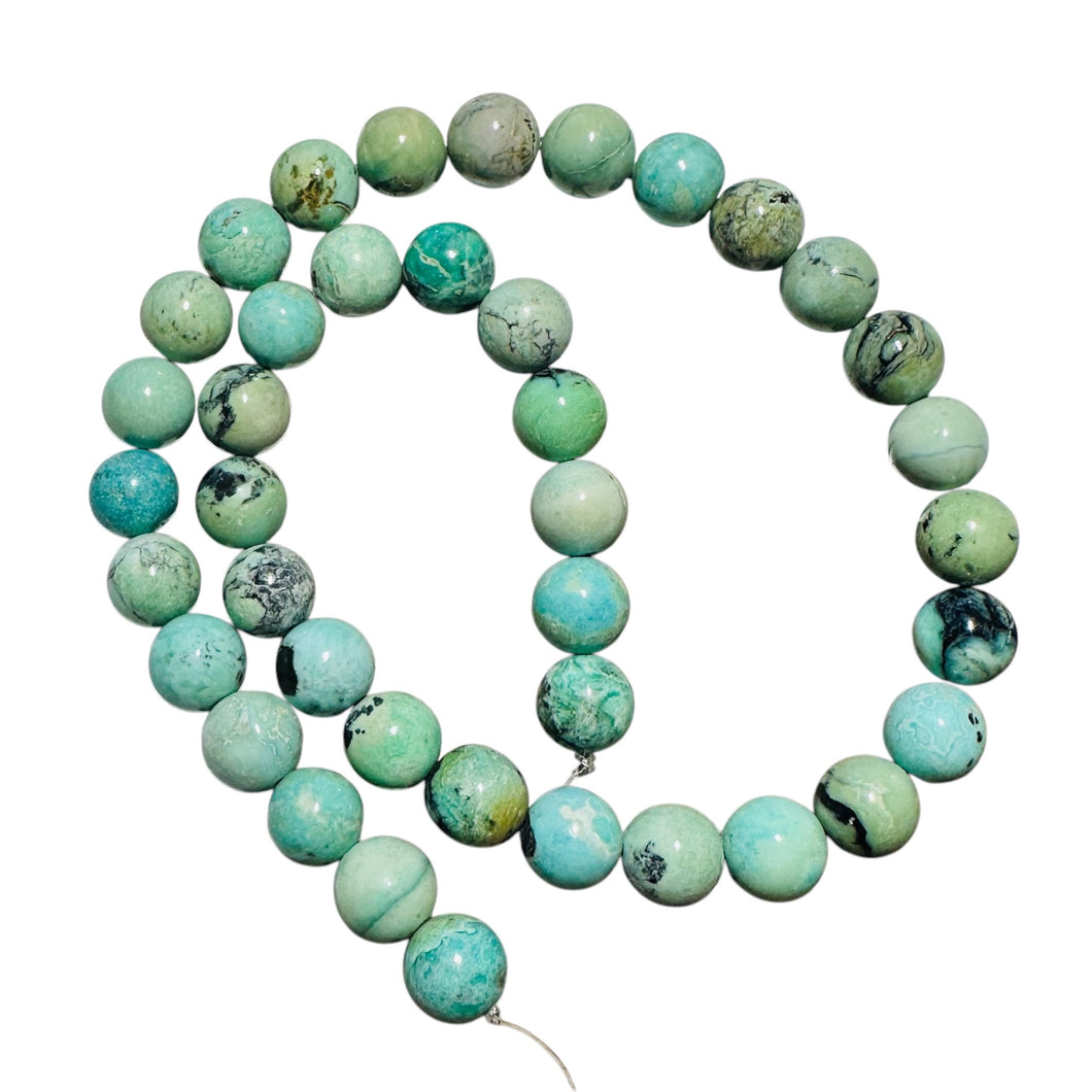 Robin Egg Blue 10-11mm USA Turquoise Bead Strand 107416B