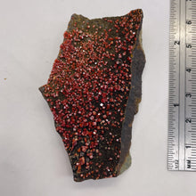 Load image into Gallery viewer, Chalcopyrite 30g Display Specimen | 55x35x15mm | Magenta | 1 Display Crystal |
