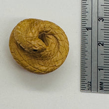 Load image into Gallery viewer, Year of the Snake 2025 Coiled Boxwood Bead | Netsuke |
