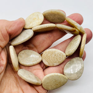 Fossilized Coral Flat Pear Pendant Bead Strand 107084