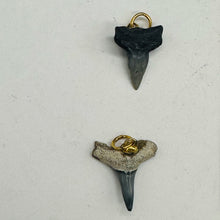 Load image into Gallery viewer, Shark Teeth Natural Fossilized Pendants | 1&quot; Long | Grey, White | 2 Pendants |
