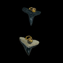 Load image into Gallery viewer, Shark Teeth Natural Fossilized Pendants | 1&quot; Long | Grey, White | 2 Pendants |

