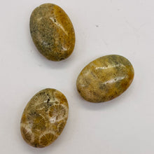 Load image into Gallery viewer, 3 Fossilized Coral Focal Oval Beads 8970
