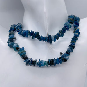 Kyanite Strand Chip Beads | 11x8x5 to 7x5x4mm | Blue | 200 Beads |