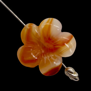 Plumeria! Carved Carnelian Hawaiian Flower Bead | Orange | 25x6mm | 1 Bead |