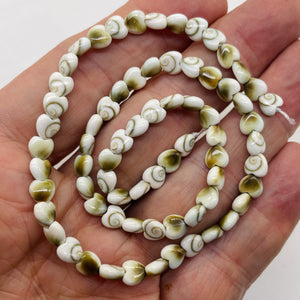 Shiva Shell 16" Strand Heart Cut Beads | 6x3mm | White, Tan | 70 Beads