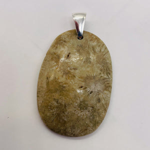 Coral Fossilized with Tiny Critters Sterling Silver Pendant | 2 1/4" Long |