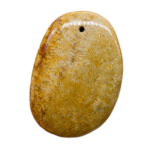 Fossilized Coral Oval Pendant Bead | 58x41x6mm | Beige Orange |
