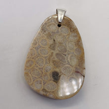 Load image into Gallery viewer, Coral Fossilized with Tiny Critters Sterling Silver Pendant | 2 1/4&quot; Long |
