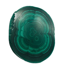 Load image into Gallery viewer, Malachite 36g Polished Round Stalactite Slice | 43x3=x8mm | Green | 1 Specimen |
