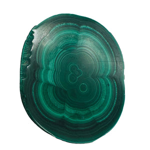 Malachite 36g Polished Round Stalactite Slice | 43x3=x8mm | Green | 1 Specimen |