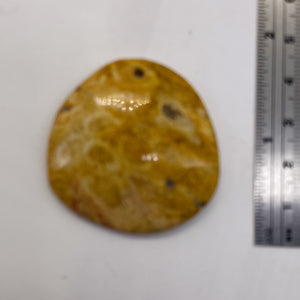 Fossilized Coral Round Pendant Bead | 41x40x7mm | Beige Orange |