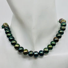 Load image into Gallery viewer, Fresh Water Pearl Strand Round | 9 mm | Blue/Bronze | 50 Beads |
