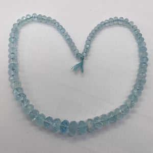 Aquamarine Gem Graduated Faceted Rondelle Bead Strand| 12x7 - 6x4mm| Blue|79 Bds