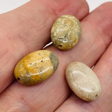 Load image into Gallery viewer, 3 Fossilized Coral Focal Oval Beads 8970
