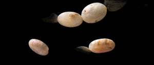 4 Speckled Peach Chalcedony Oval Beads 9159