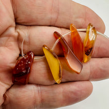 Load image into Gallery viewer, Designer 6 Wild Natural Carnelian Drop 20x6x5mm to 32x11x6mm Beads 8972
