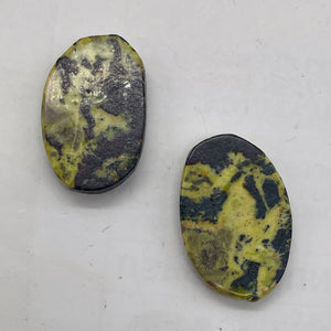 Turquoise Faustite Oval Beads | 34x22 to 32x21mm | Chartreuse, Black | 2 Beads |