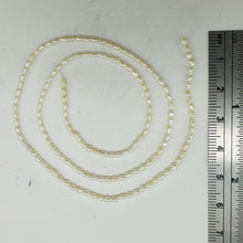 Load image into Gallery viewer, Creamy 2-2.5x1.5mm Seed Pearl Strand 103448
