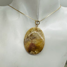 Load image into Gallery viewer, Tan White Fossilized Coral Flat Oval Pendant 40x30x5.5mm Natural Stone
