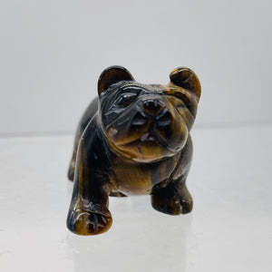 Hand-Carved Chinese Shar-pei Puppy | 1. 1/4" Tall | Tiger Eye | 1 Figurine |
