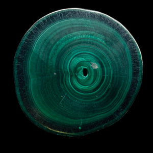 Malachite 31g Polished Round Stalactite Slice | 41x41x7mm | Green | 1 Specimen |