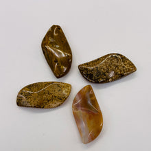 Load image into Gallery viewer, Ocean Jasper Wavy Pendant Beads - Assorted Colors | 31x16x5mm | 4 Beads |
