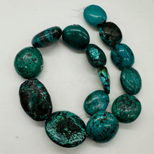 Load image into Gallery viewer, Turquoise Natural Focal Nugget Bead Strand | 181g | 16&quot; | Blue, Black| 14 Strand
