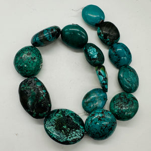 Turquoise Natural Focal Nugget Bead Strand | 181g | 16" | Blue, Black| 14 Strand