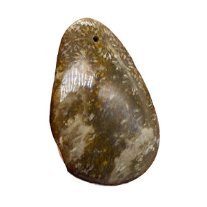 Fossilized Coral Teardrop Pendant Bead | 60x42x8 | Gray White | 1 Bead |
