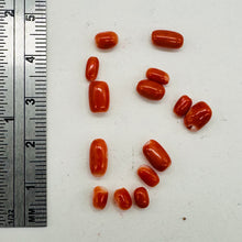 Load image into Gallery viewer, Coral Natural Oval Beads | Salmon, Red | 14 Beads | 5x3 to 7x4mm |
