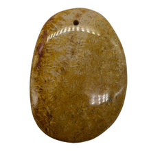 Load image into Gallery viewer, Fossilized Coral Oval Pendant Bead | 58x41x6mm | Beige Orange |
