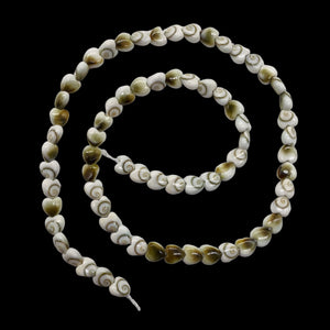 Shiva Shell 16" Strand Heart Cut Beads | 6x3mm | White, Tan | 70 Beads