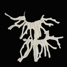 Load image into Gallery viewer, Coral Branch Beads | 50x3 to 41x3mm | White | 12 Beads |
