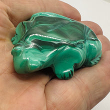 Load image into Gallery viewer, Malachite 66g Gemstone Carving Frog Figurine | 1 Specimen | | 56x47x15mm | Green

