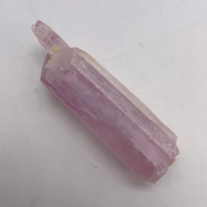 Kunzite 45 Gram Complete Natural Crystal| 71x19x18 | Lavender| Display Specimen|