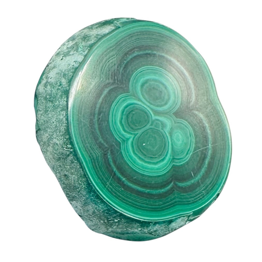 Malachite 36g Polished Round Stalactite Slice | 43x3=x8mm | Green | 1 Specimen |
