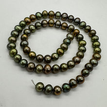 Load image into Gallery viewer, Fresh Water Pearls 16&quot; Strand Round Pearls | 7mm | Golden Green | 1 Strand |
