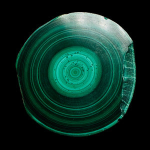 Malachite 351g Polished Round Stalactite Slice | 45x42x7mm | Green | 1 Specimen|
