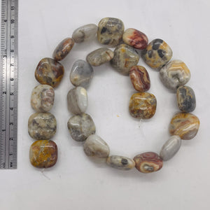 Wild Crazy Lace Agate Square Coin Bead Strand 109225