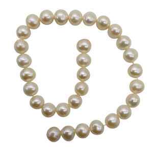 Premium 6.5 x 7mm Cream White FW Pearl Strand 101304