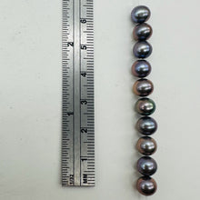Load image into Gallery viewer, Spectacular Natural Forget-Me-Not Hued Freshwater Pearls | 7mm | 10 Pearls |
