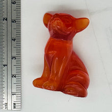 Load image into Gallery viewer, Cocker Spaniel Carved | 1 Figurine | | 40x28x19mm | Chatoyant Orange

