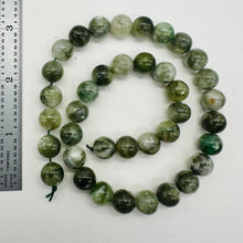 Load image into Gallery viewer, Mossy Aquamarine Round Bead Strand | 10mm | Green, Clear | 37 Beads |
