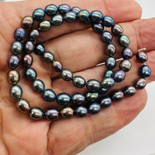 Load image into Gallery viewer, Blue Pink Lavender Freshwater Pearl Strand | Near-Round Oval | 7x6mm| 55 Pearls
